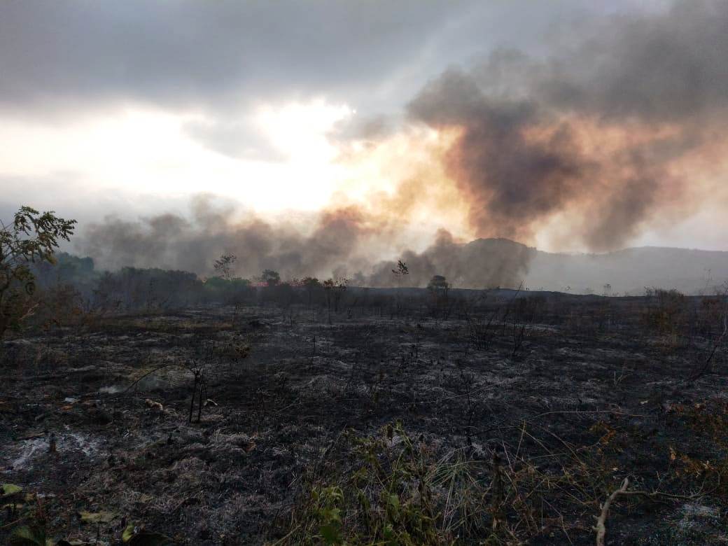 Kebakaran Padang Ilalang TNBBS Berhasil Dipadamkan