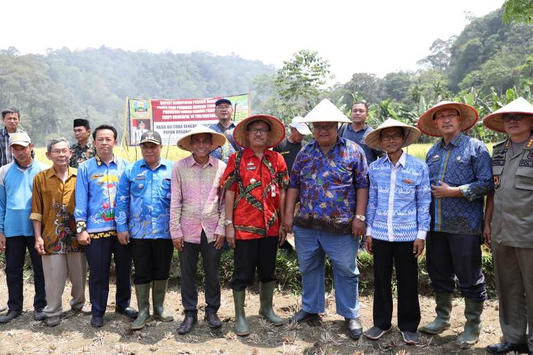 Panen Perdana Hasil Ujicoba Pupuk Organik Cair