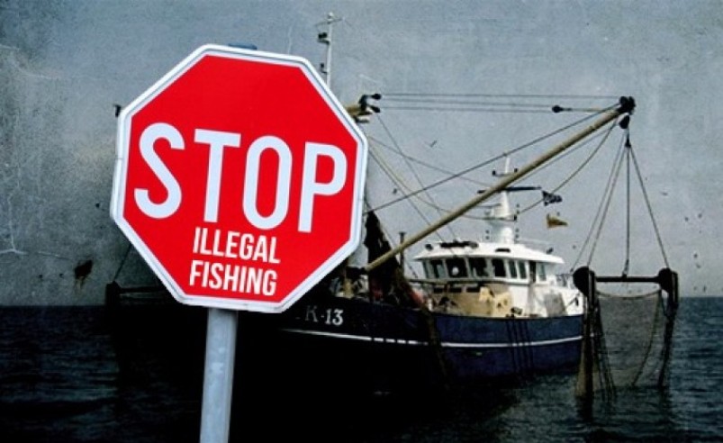 Perairan Pesbar Rentan Illegal Fishing