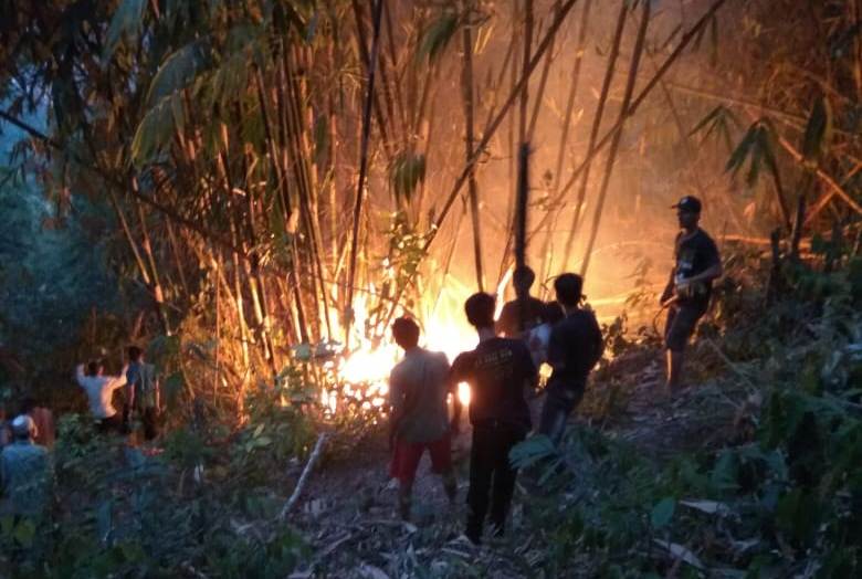 Diduga Akibat Bakar Sarang Tawon, Hutan Bambu Terbakar