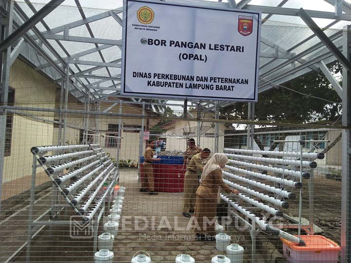 Lambar Dapat Bantuan OPAL