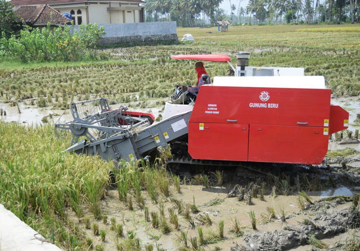 Alsintan Permudah Petani Memanen Padi