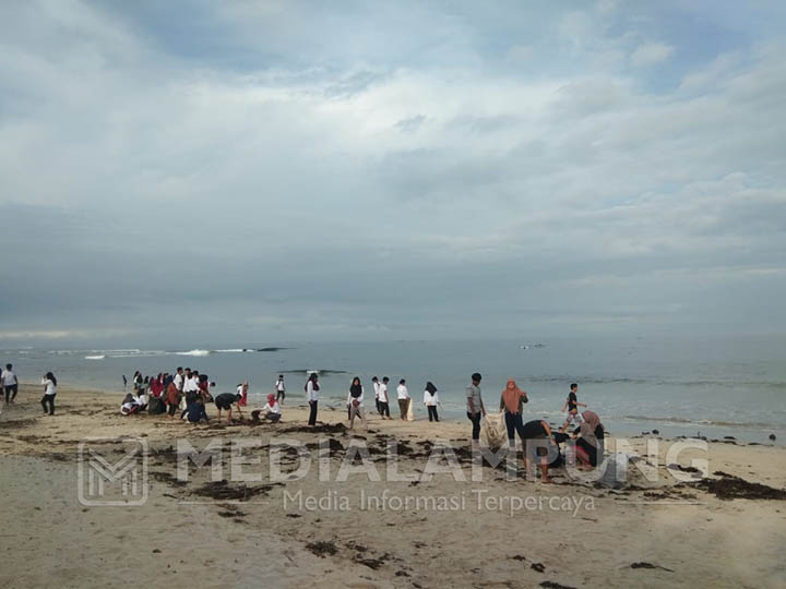 Krui Kecahko-Mahasiswa Sapu Sampah di Pantai