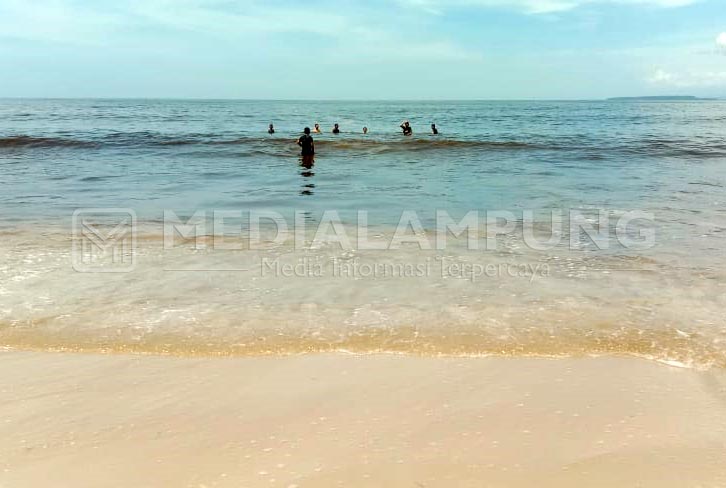 Akibat Perubahan Siklus, Air Laut Berwarna Coklat