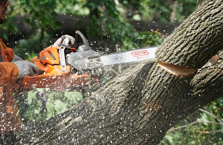 Pembangunan Posko Pendakian Gunakan Kayu Hasil Illegal Logging
