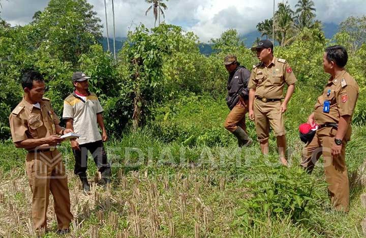 Kelompok Tani Digerakkan untuk Tangani Kerusakan Sawah