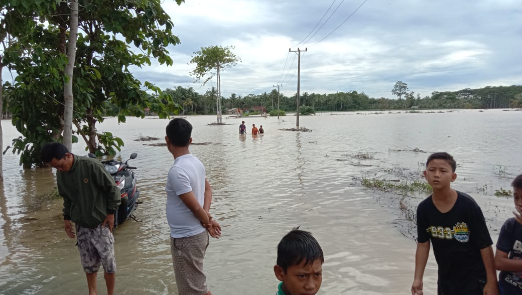 Sedikitnya 74 Rumah di Negeri Ratu Ngambur Terendam Banjir