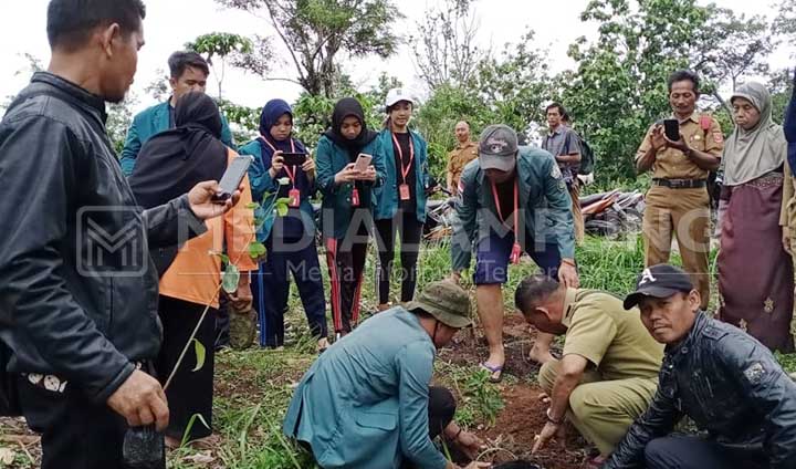 Mahasisiwa KKN Tanam Alpukat dan Sirsak di Waypetai