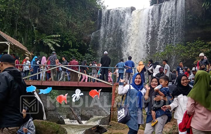 Wisata Curup Tresno dan Kampoeng Kopi  Diserbu Pengunjung