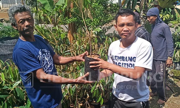 Petani HKm Pekon Purajaya Dapat Bantuan Bibit Durian