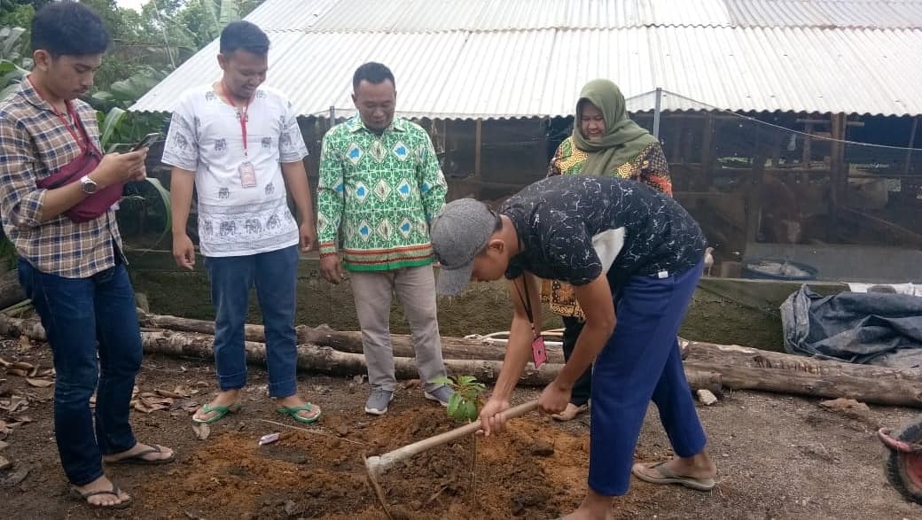 Mahasiswa KKN Lakukan Penghijauan di Pekon Tribudi Makmur