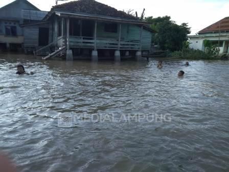 Way Tuba Meluap, 658 Rumah Terdampak Banjir