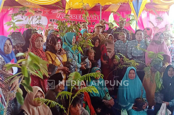 Wujudkan Kabupaten Konservasi, Parosil Bagikan Bibit Pohon Buah 