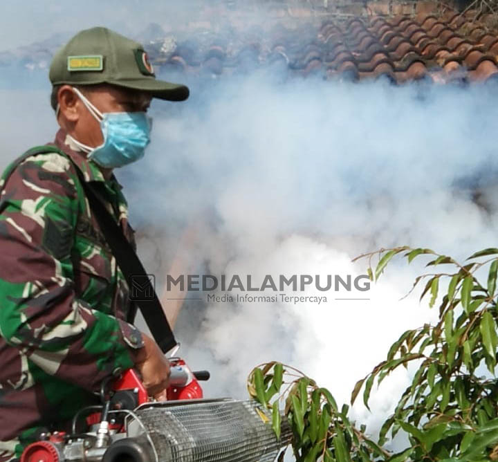 Cegah DBD, Babinsa Ikut Lakukan Fogging