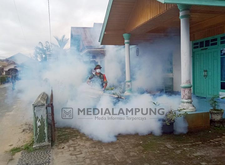 Cegah DBD, Tim Lakukan Fogging di Lingkungan Serdang