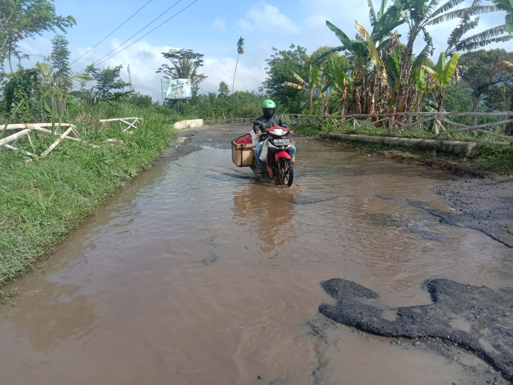 DPUPR Usulkan Penanganan Darurat Jalan Liwa-Batas Sumsel