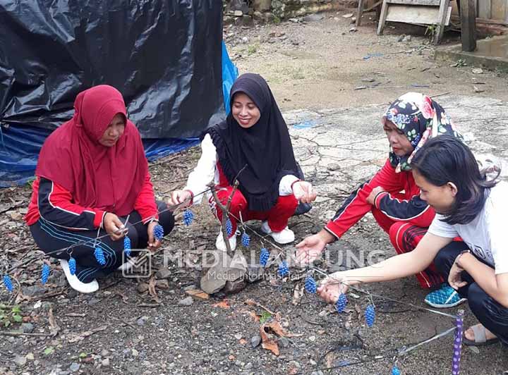 KKN Unila Sulap Buah Pinus Jadi Pernak-Pernik Bernilai Ekonomis