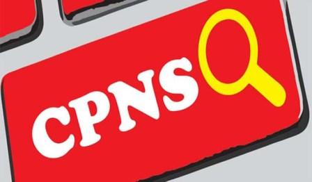 Hasil SKD CPNS-PPPK Non Guru akan Diumumkan 13-14 November 