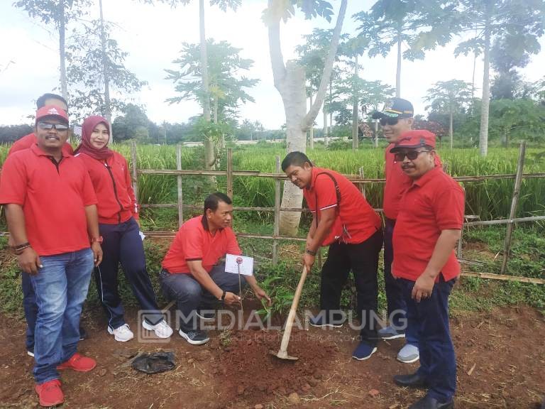 DPC PDIP Pringsewu Tanam 600 Pohon Buah