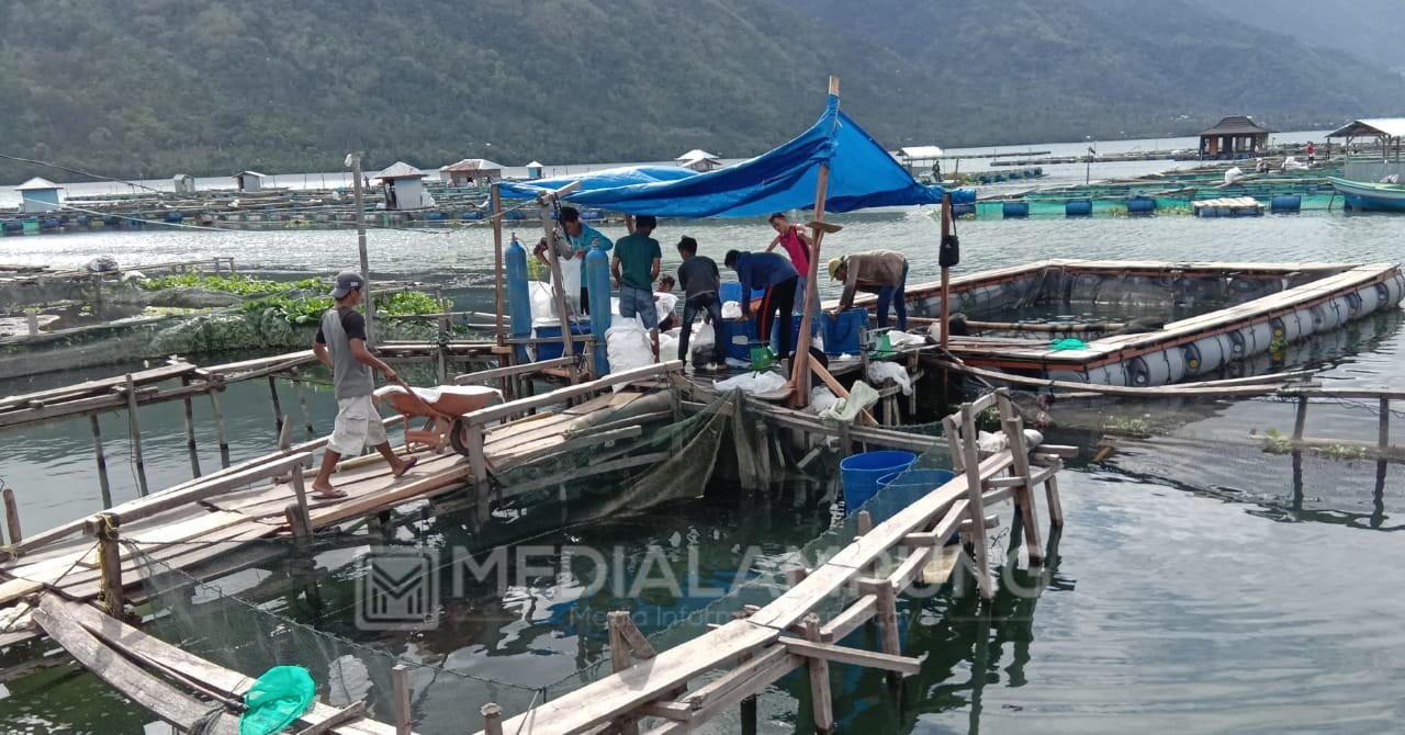 Permintaan Ikan di KJA Lumbokseminung Meningkat