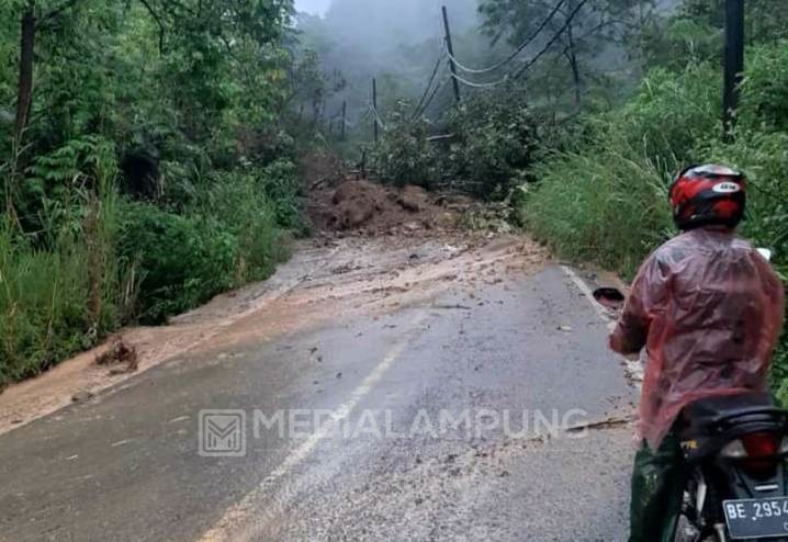 Diguyur Hujan, Ruas Jalan Liwa-Krui Tertimbun Longsor