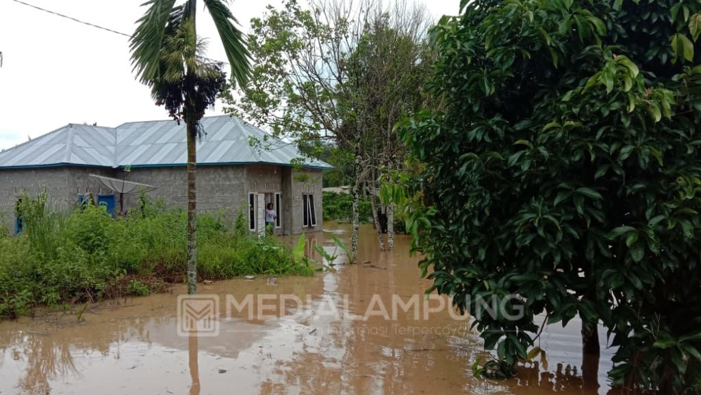 Puluhan Hektar Sawah-Pemukiman Warga Terendam Banjir