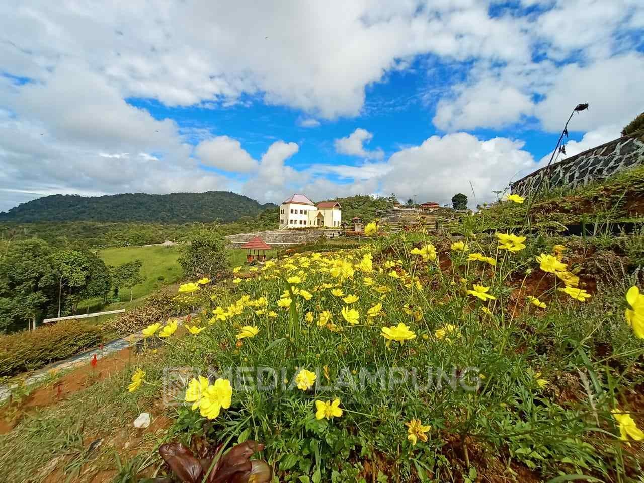 Percantik Kebun Raya Liwa, UPTD Tanam Berbagai Jenis Bunga 