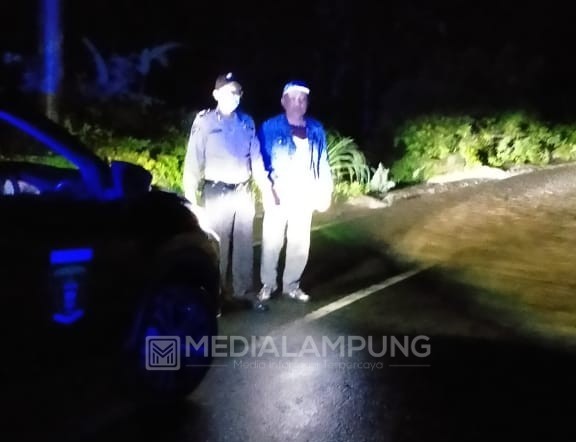 Longsor dan Pohon Tumbang di Jalan Liwa-Krui, Pengendara Diimbau Waspada