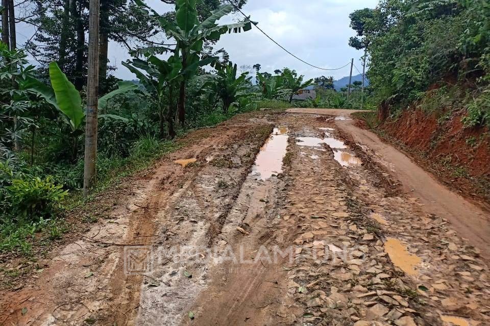 Warga Pekon Manggarai Minta Jalan Kabupaten Segera Dibangun 