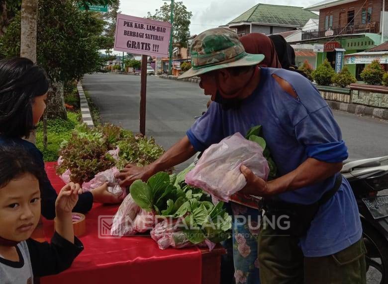 Dukung Program Siger, TP PKK Kabupaten Lambar Berbagi Sayur Mayur Gratis