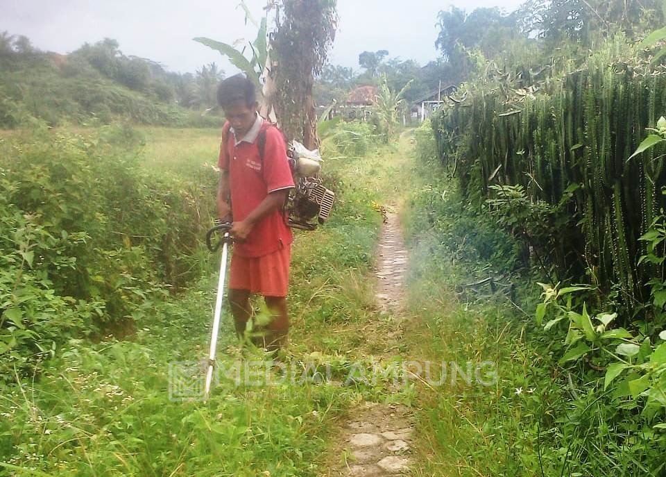 Setelah Klarifikasi Pihak BBI Sumberjaya Bergerak Bersihkan Rumput