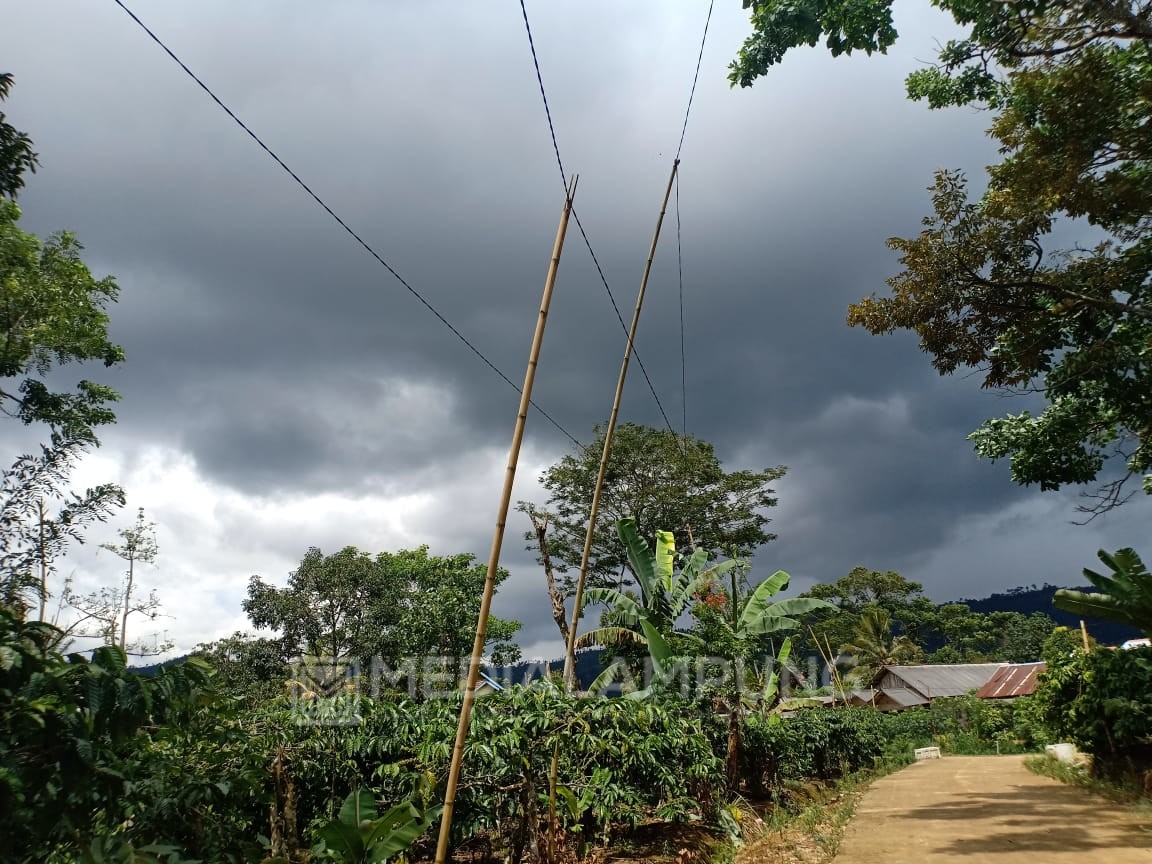 12 Tahun Listrik di Pekon Manggarai Hanya Pakai Tiang Bambu 