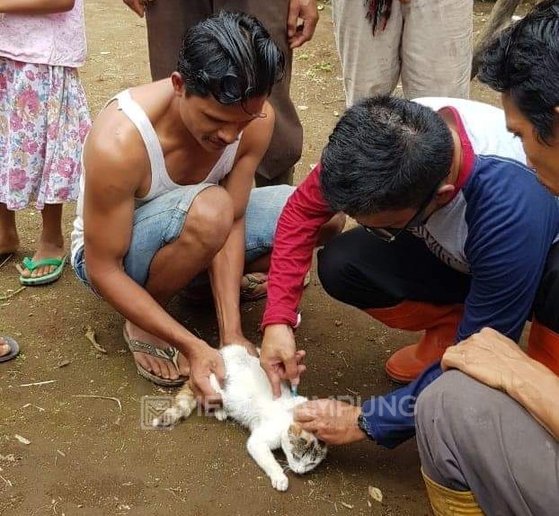 226 HPR Milik Warga di Wilayah Terpencil Disuntik Vaksin Rabies