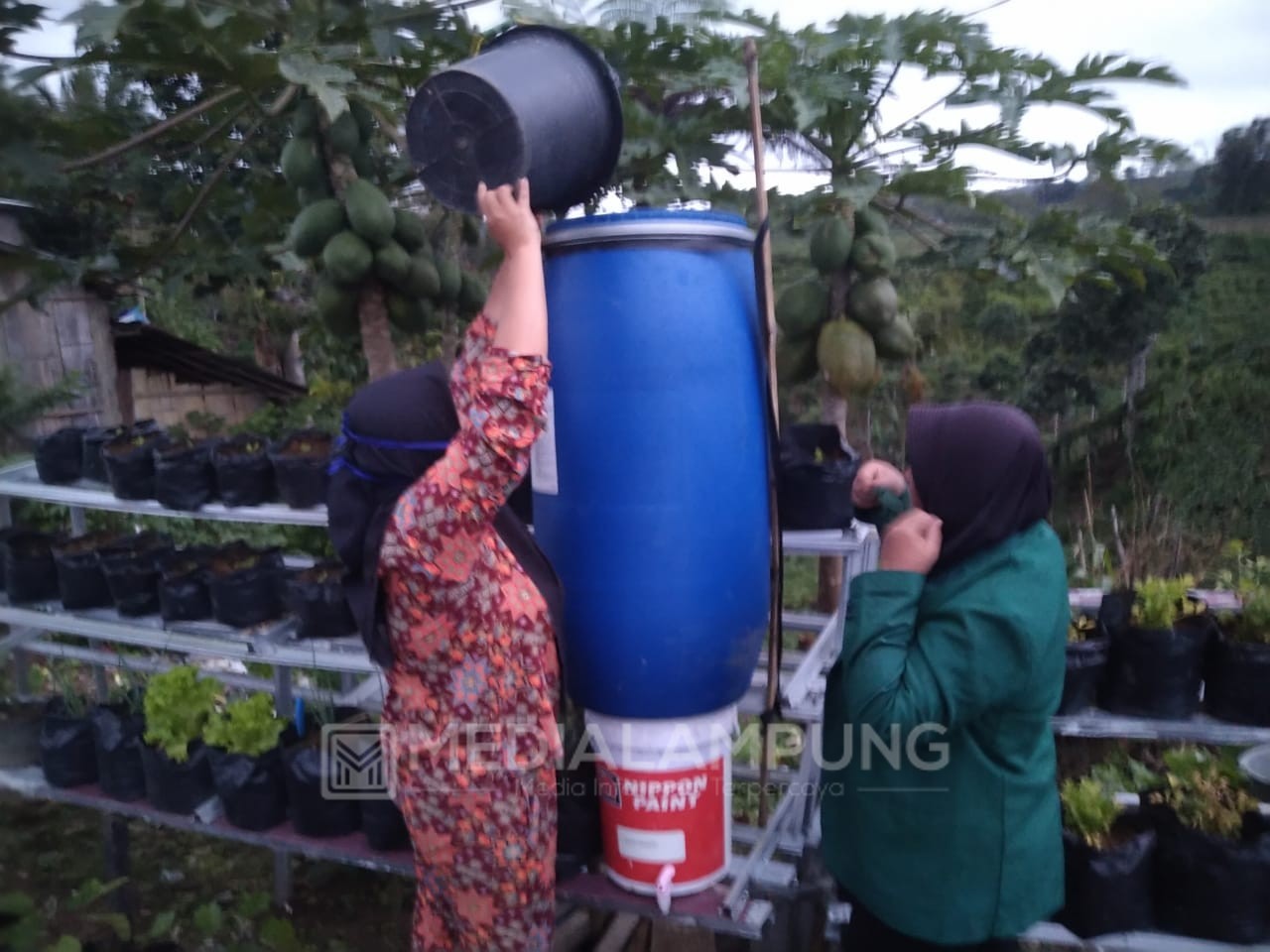 Emak-Emak Kreatif, Olah Limbah Dapur Jadi Pupuk Organik