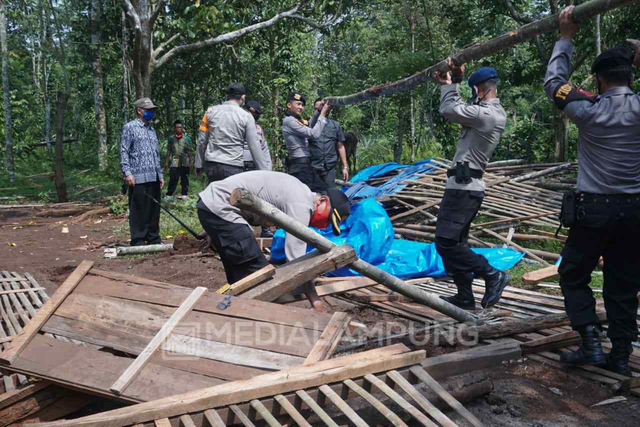 Polres Lamtim Gusur Arena Sabung Ayam di Perkebunan Tebu