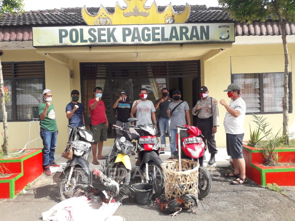 Gerebek Judi Sabung Ayam, Polsek Pagelaran Amankan Sejumlah BB