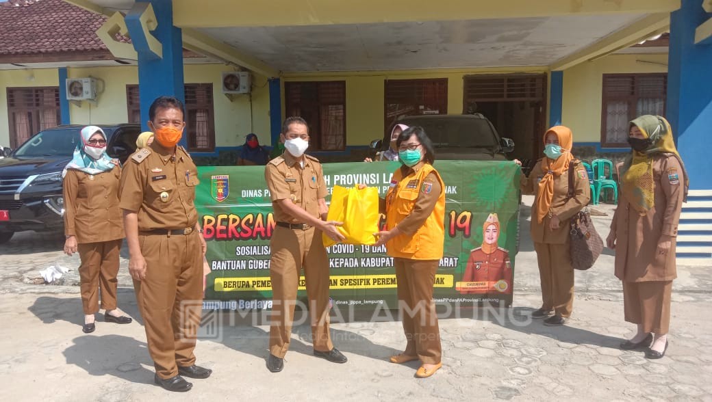 DP3A Provinsi Lampung Serahkan Bantuan Covid-19 ke Pesbar