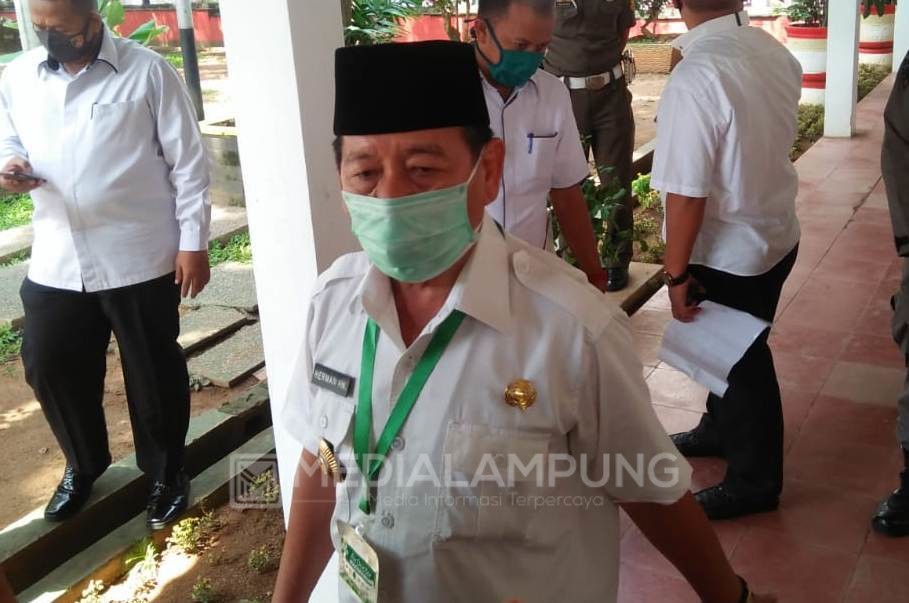 Herman HN Gratiskan PBB Tahun 2020
