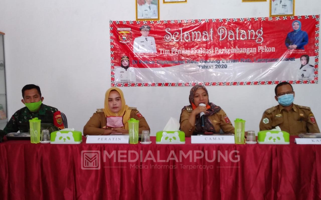 Pekon Ciptawaras Laksanakan Sosialisasi Edukasi New Normal