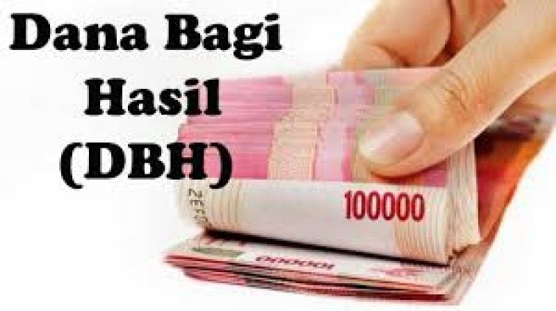 DBH Pajak Provinsi Masuk Kasda Rp29,414 Miliar 