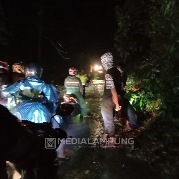 Badan Jalan Dipastikan Bersih, Pasca Tertimbun Longsor