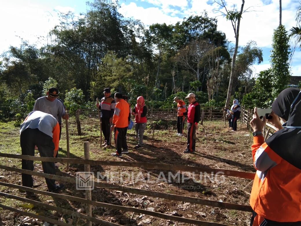 Dukung Program PM,  Camat, TP-PKK Hingga Pekon Tanam Palawija