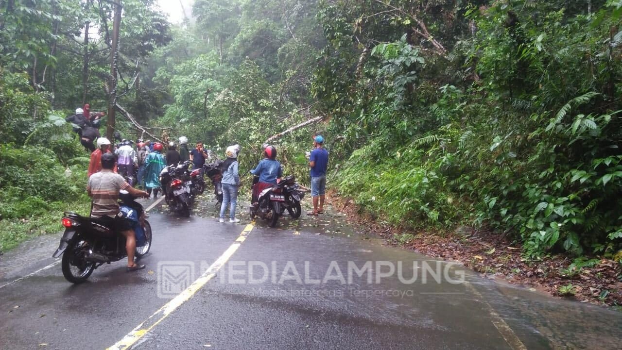 Longsor Tutup Badan Jalan di Pal Enam Jalur Liwa-Krui