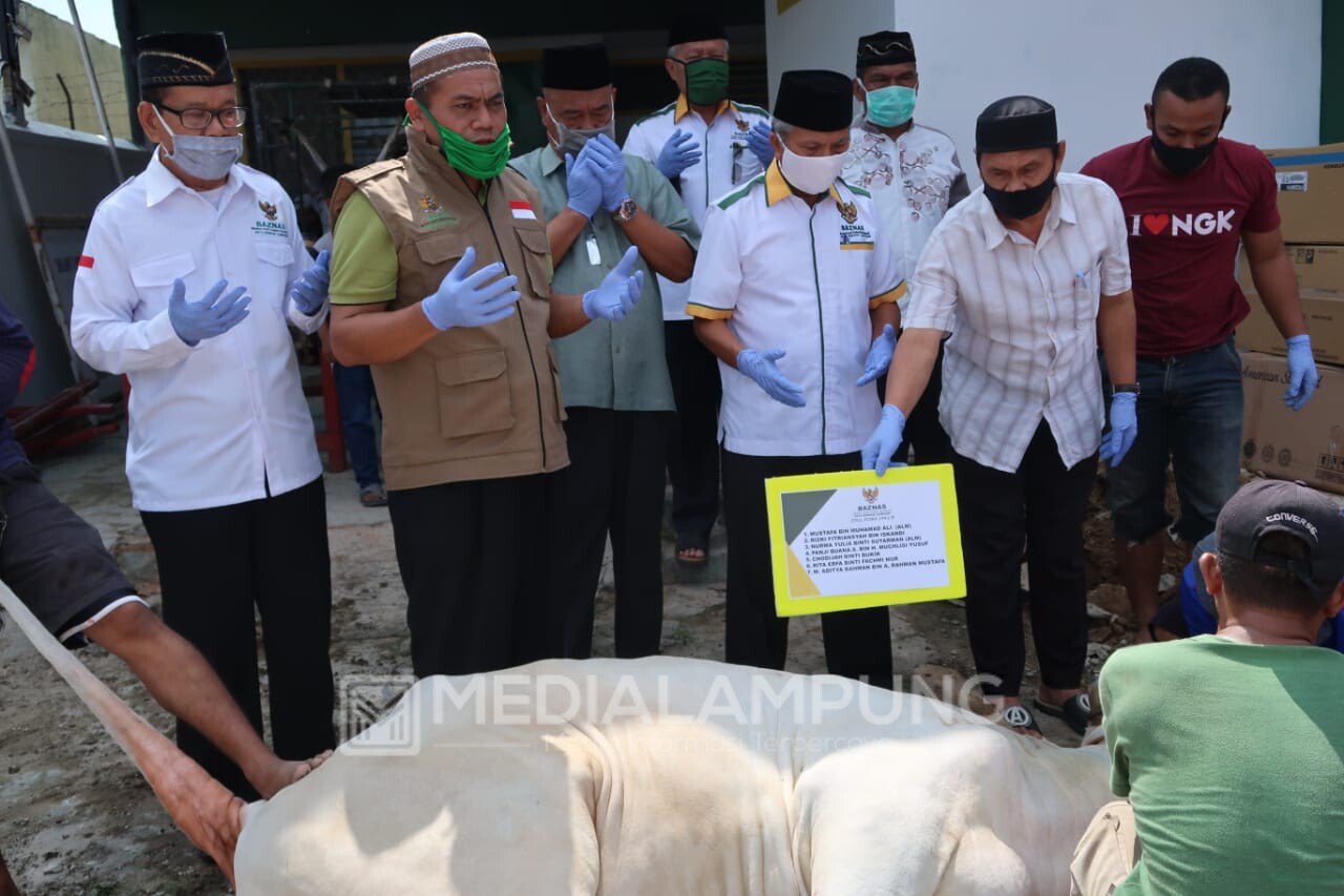 BAZNAS Kota Bandarlampung Salurkan Daging Kurban Secara Door To Door