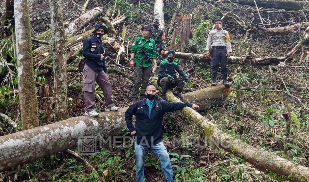 Tim Gabungan Turun Tertibkan Perambahan Hutan