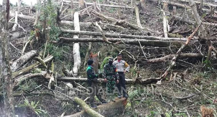 Marak Perambahan Hutan, DPRD Desak Dishut Tingkatkan Pengawasan Hutan Lindung 