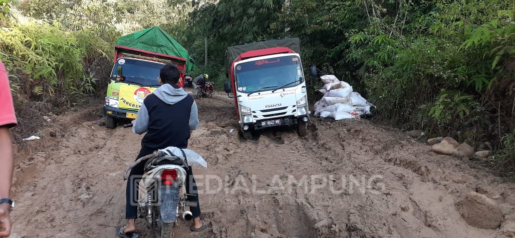 Lapor Pak! Jalan Suoh-BNS Rusak Parah