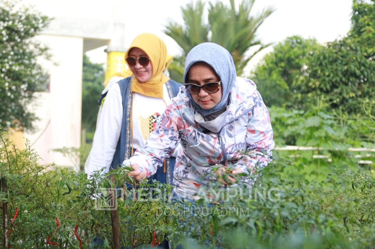 Riana Ajak Organisasi Wanita Senam dan Masak Bersama di Agro Park PKK