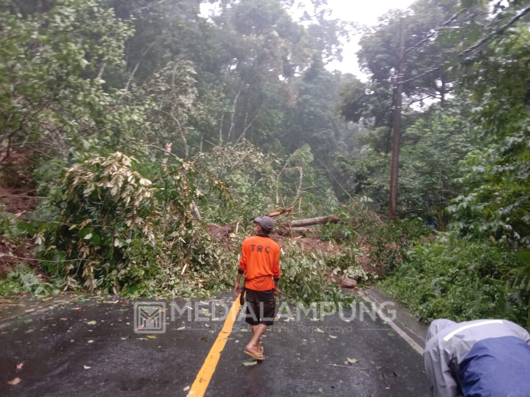 Siapkan Alat Berat, BPBD Pesbar Koordinasi Dengan DPUPR