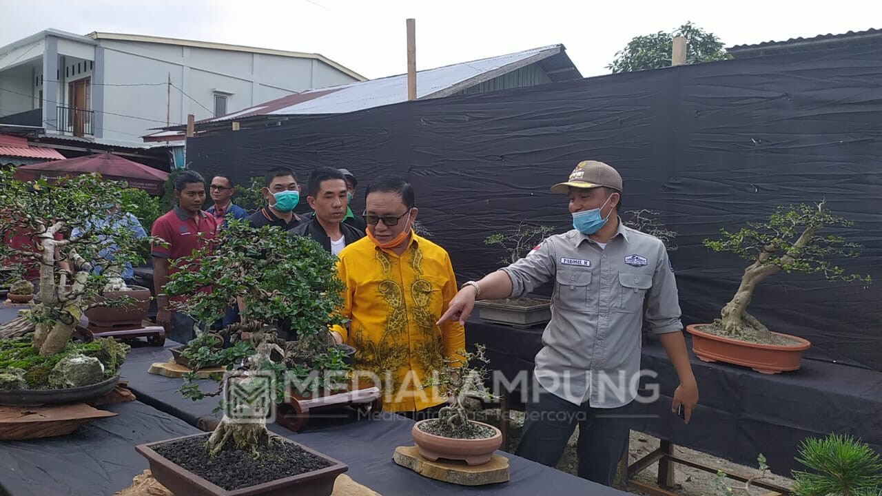 Kopdar Bonsai PPBI Lambar Dapat Apresiasi Bupati Hingga Anggota DPR RI